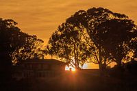 Coucher de soleil à San Francisco