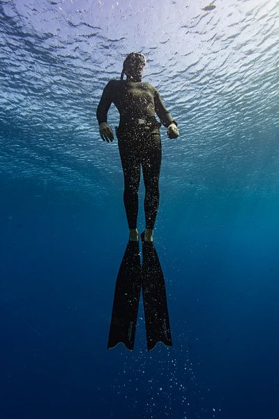 Freediver ascending by Eric van Riet Paap