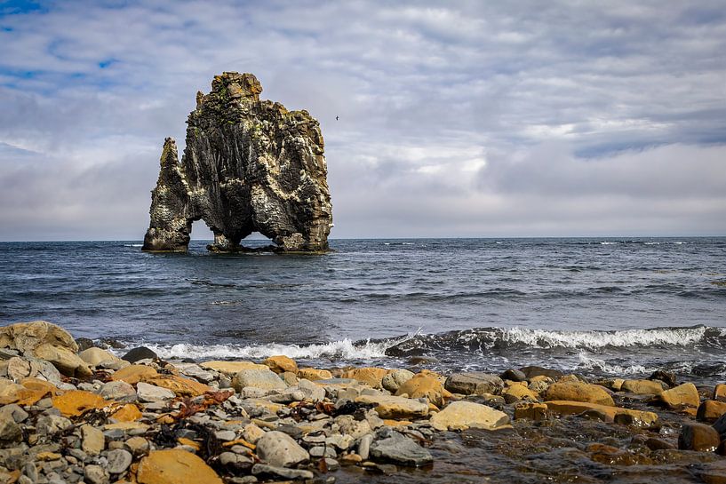 Hvítserkur (Iceland) by Thomas Heins