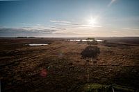 ausgedehntes Heideland während sehr trockener Sommer
