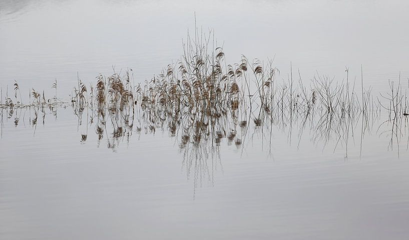 beruhigend von Frank Smedts