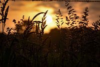 zonsopkomst op de akkers