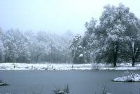 bevroren meertje 