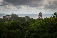 Temples of Tikal