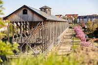 Gradierbau (Salinen) im Kurpark von Bad Dürkheim