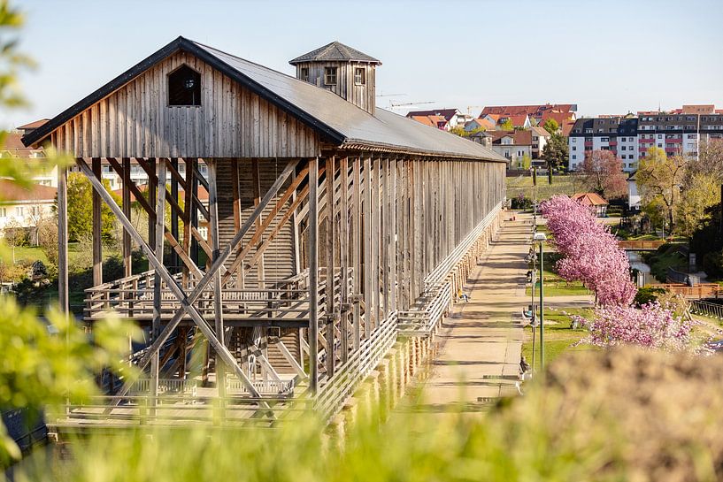 Gradierbau (Salinen) im Kurpark von Bad Dürkheim von Fabian Bracht