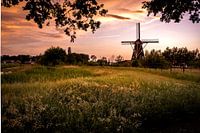Coucher de soleil au moulin de Zwaan aux Pays-Bas