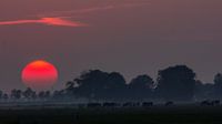 Friesland Sunset