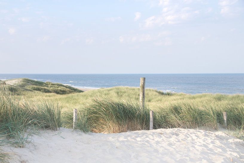 In den Dünen bei Callantsoog von Danny Tchi Photography
