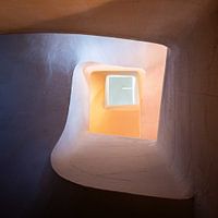 Een abrikozen omhelzing