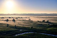 Morgennebel im Sumpf von Yerseke