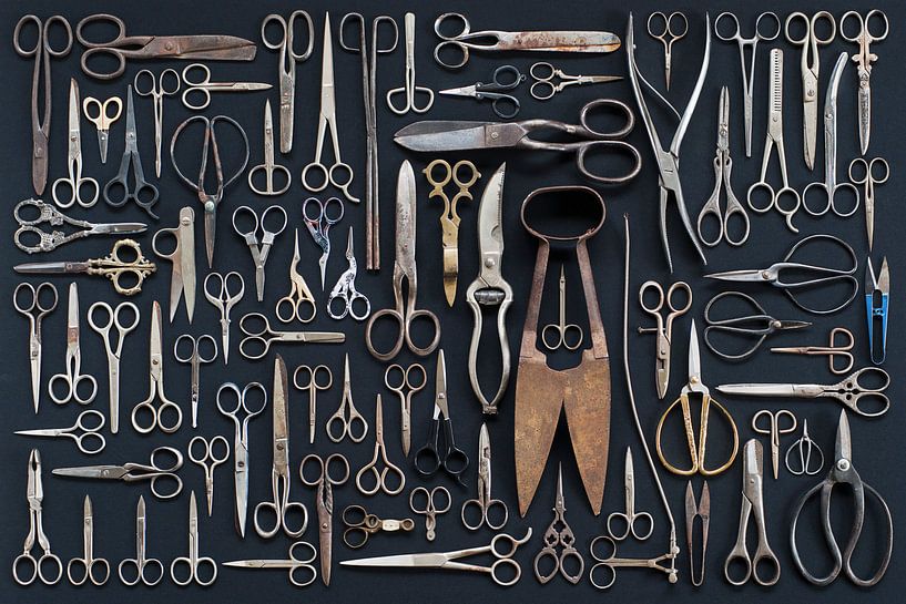 Collection de ciseaux par Floris Kok