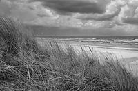 Vue sur la plage d'Usedom avec les dunes d'un côté et la mer Baltique de l'autre, en noir et blanc