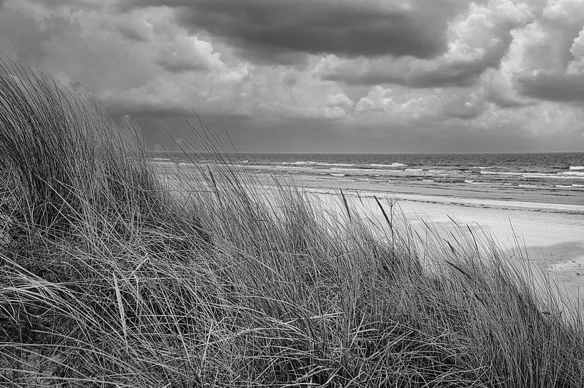 Vue sur la plage d'Usedom avec les dunes d'un côté et la mer Baltique de l'autre, en noir et blanc par Martin Köbsch
