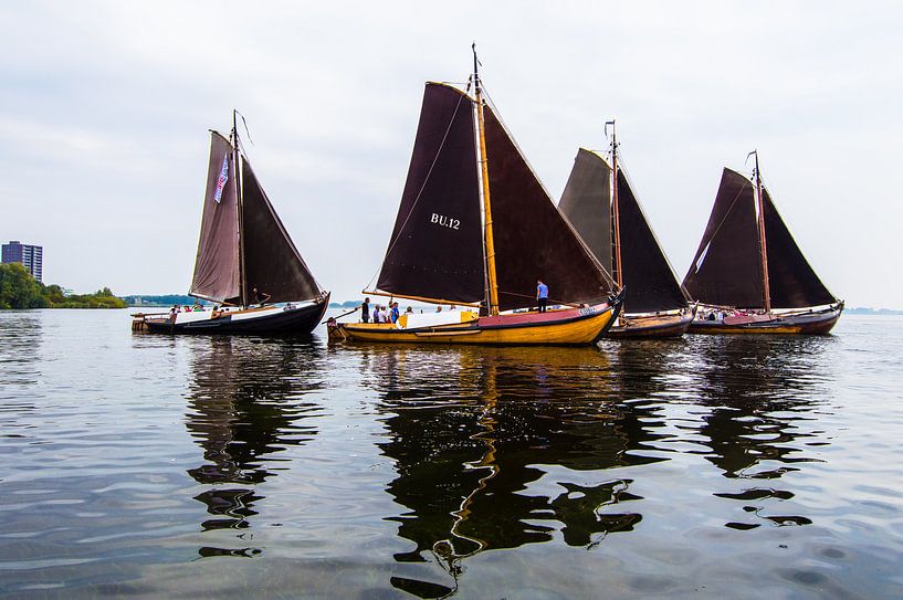 Botters in de volle zeilen van Brian Morgan