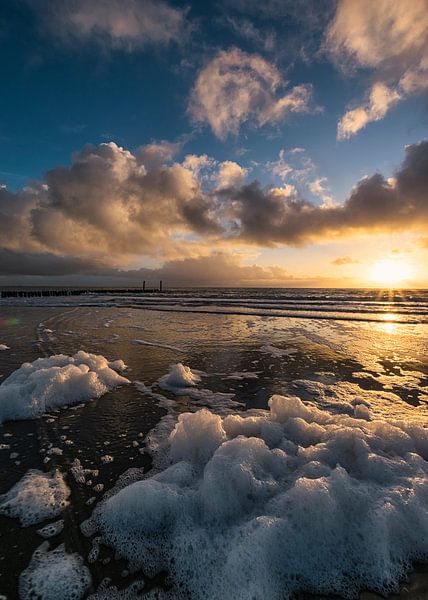 Message from Home van Thom Brouwer