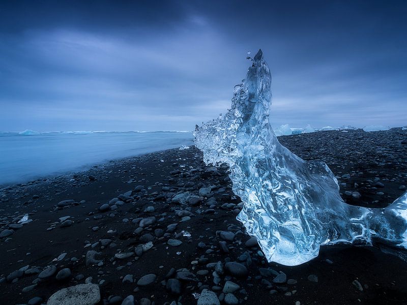 Ice doggy by Roelof Nijholt