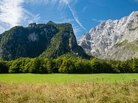 View of meadow and mountains in the German Alps