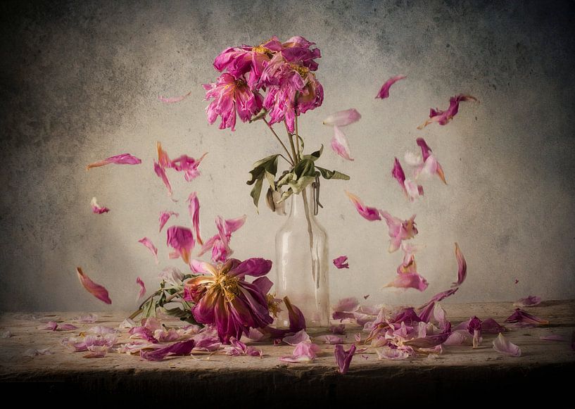 Stilleben 73 von jejaka art