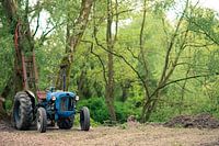 Traktor im Wald