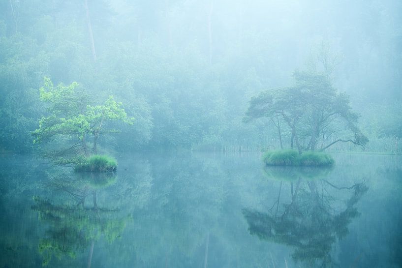 Oisterwijkse vennen on a misty morning in the blue hour. by Jos Pannekoek