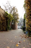 Blick auf die St. Johannis-Kathedrale in Den Bosch