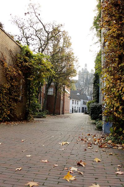 Blick auf die St. Johannis-Kathedrale in Den Bosch von Christel Smits
