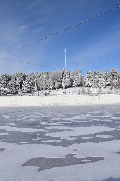 Die Eislaufbahn des Dorfes von Claude Laprise