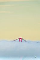 StreetArt by Susan San Francisco