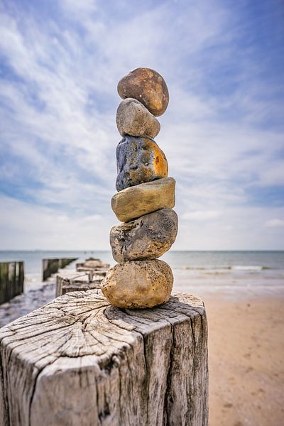 La tour de pierre. par Jolanda Bosselaar