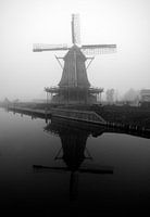 Dutch windmill in the mist
