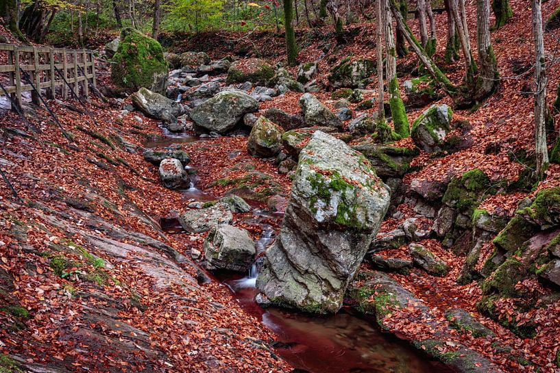 Ninglinspo von Rob Boon