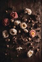 Blumen im Kontrast von Schönheit und Vergänglichkeit