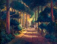 Boszicht - Het Calmeynbos in De Panne (België - West Vlaanderen)