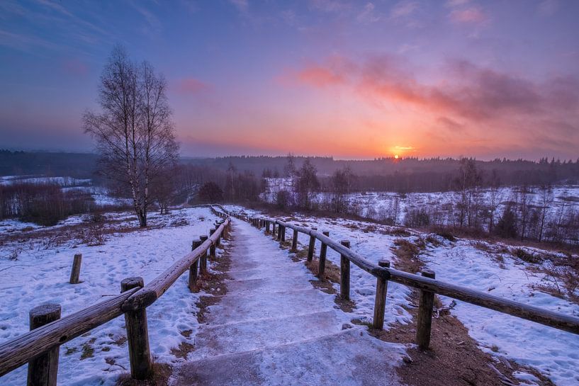 Lever de soleil sur les escaliers de la réserve naturelle de Kwintelooijen par Moetwil en van Dijk - Fotografie