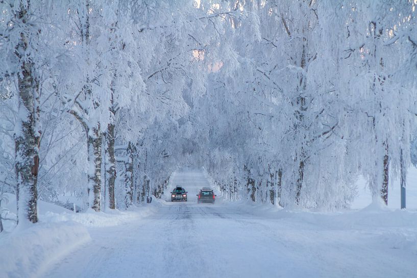 Winter in Swecen by Hamperium Photography