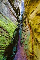 Portrait van een slot canyon in Berdorf (Klein Zwitserland)