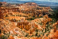 Bryce National Park
