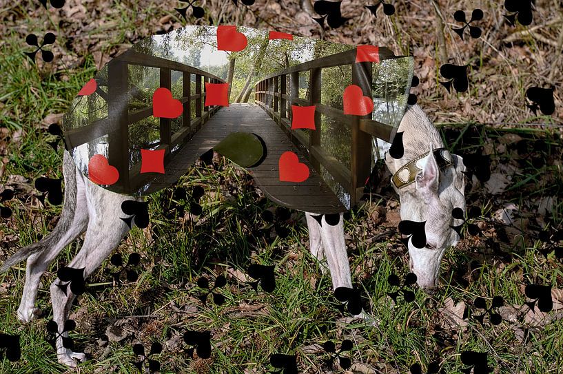 Brücke von True Color Stories