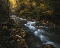 Voyageur dans le temps