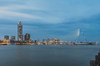 Sky line Rotterdam