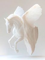 Pegasus Ascension - Zwischen Fels und Himmel