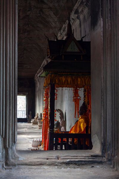 Spirit van Vanessa D.