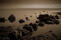 Rocks 5133sepia