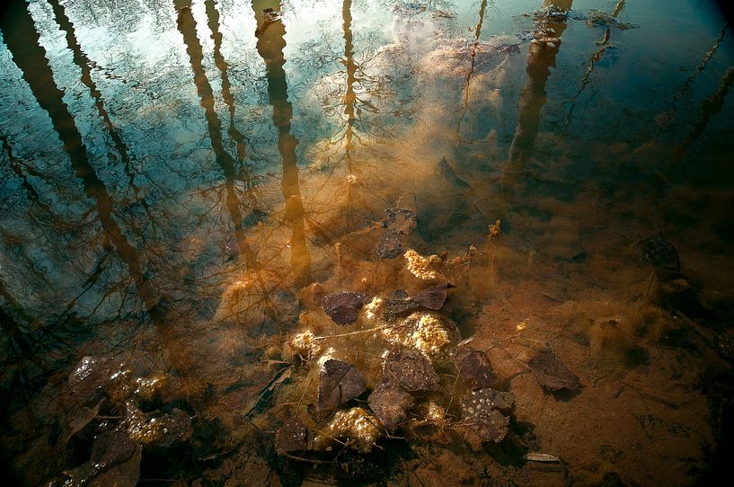 Underworld et monde différent. par Sonja Pixels