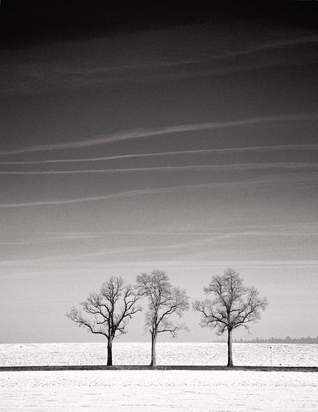 On Line von Lena Weisbek