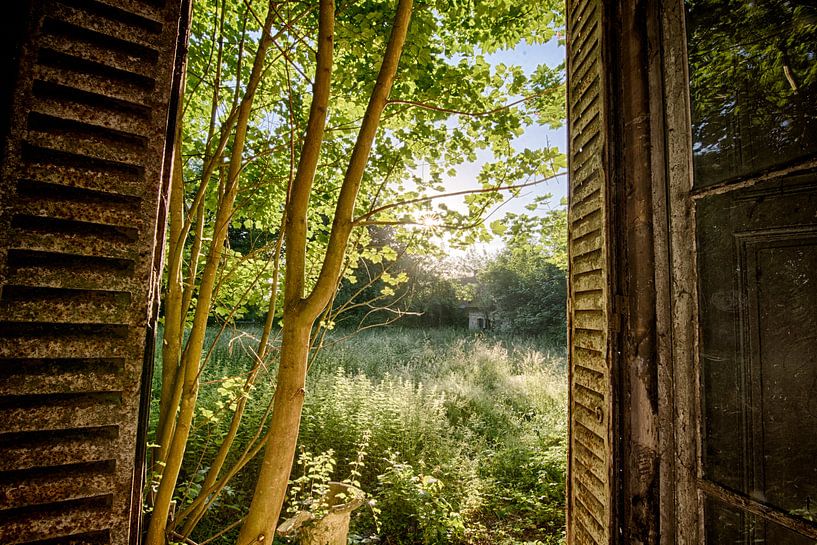Vue du château de la sécession par Rens Bok