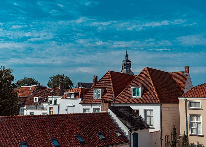 Bezauberndes Bergen op Zoom: Die Pfeffermühle präsentiert sich unter strahlender Sonne von Youp Linders