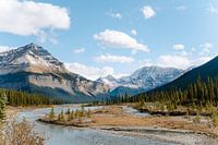La promenade des champs de glace - les plus beaux panoramas du Canada à Jasper
