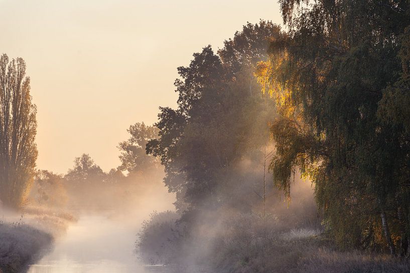 Nebelstimmung an der Aller, Wolfsburg von Marc-Sven Kirsch